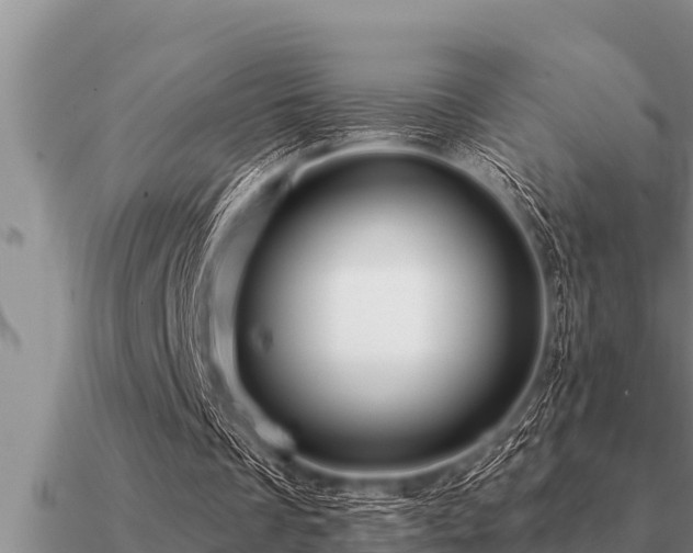 X0000091090289200708061643