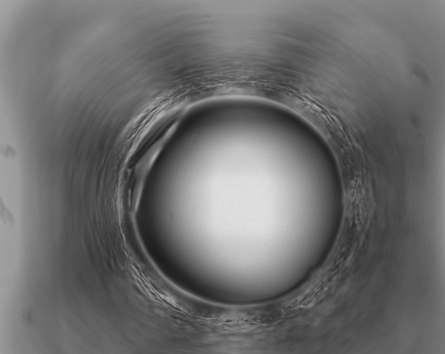 X0000091090290200708061643