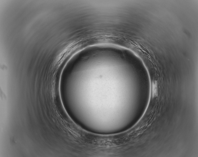 X0000091090291200708061643