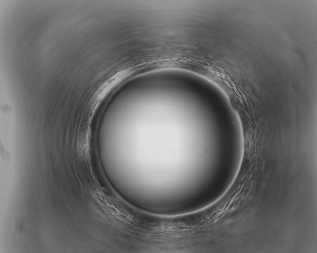 X0000091090292200708061643