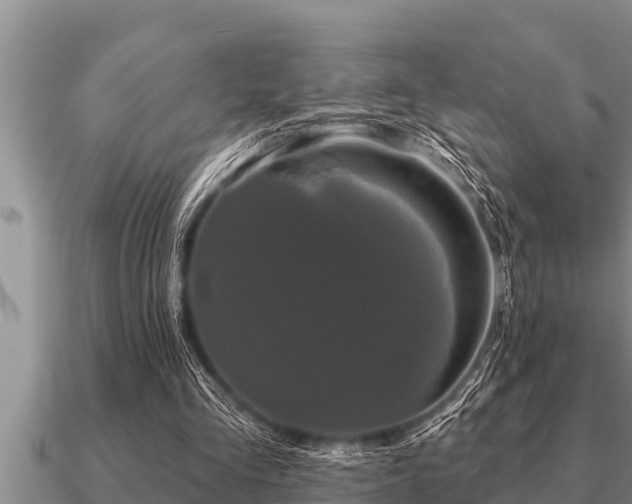 X0000091090293200708061643