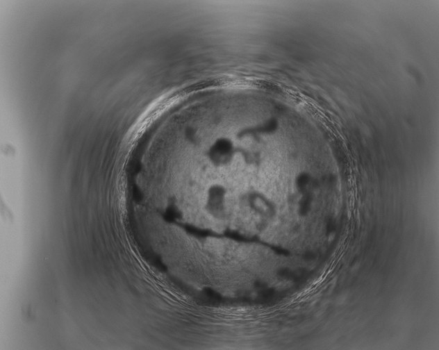 X0000091090295200708061643