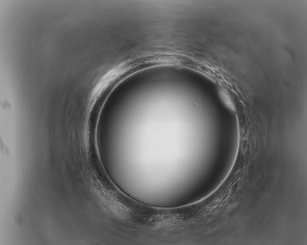 X0000091090296200708061643