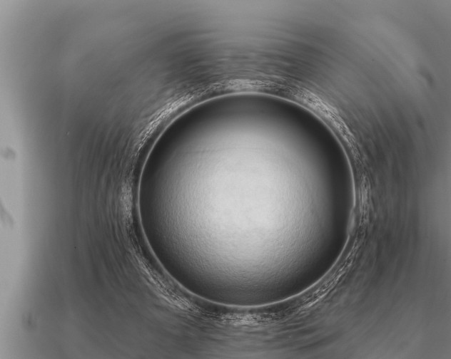 X0000091090297200708061643