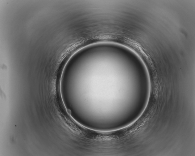 X0000091090299200708061643