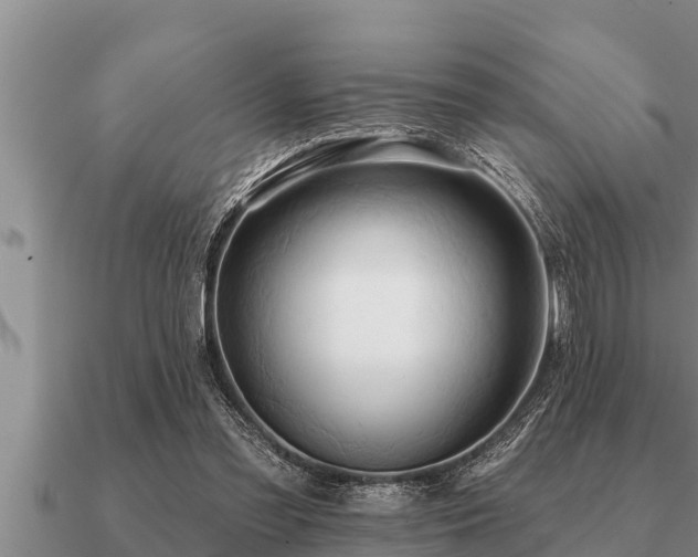 X0000091090301200708061643
