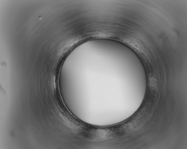 X0000091090302200708061643