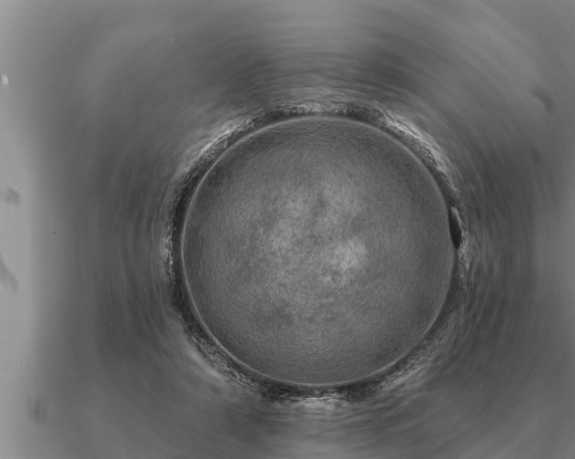 X0000091090306200708061643