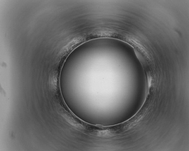 X0000091090309200708061643