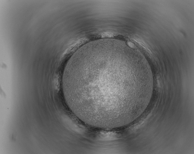 X0000091090311200708061643