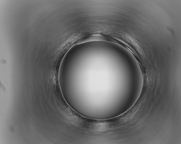 X0000091090313200708061643