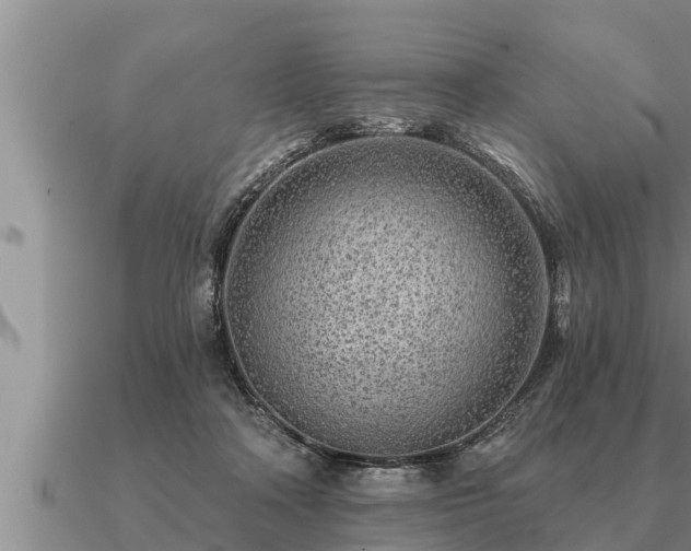 X0000091090314200708061643