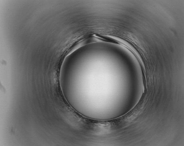 X0000091090317200708061643