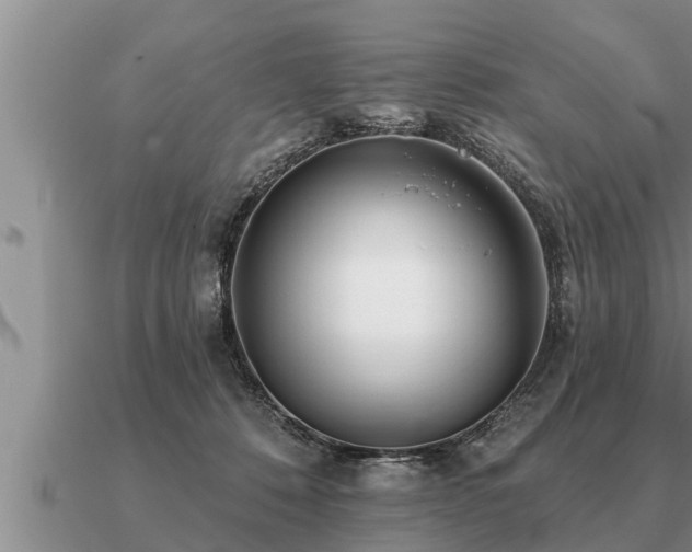 X0000091090320200708061643