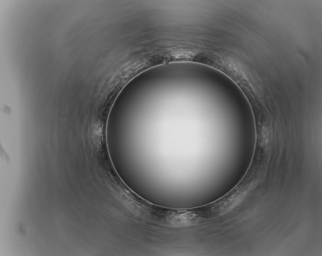 X0000091090321200708061643