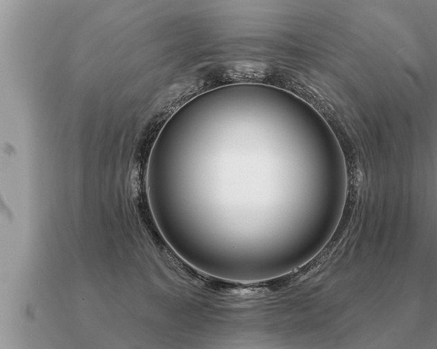 X0000091090323200708061643