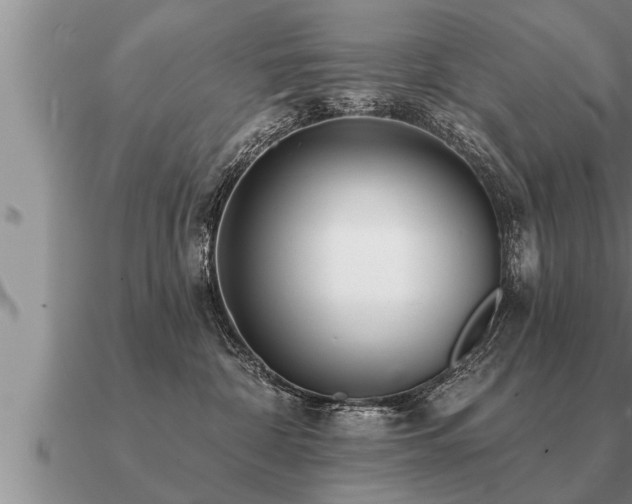 X0000091090332200708061643