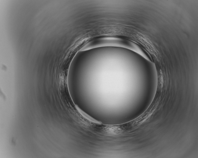 X0000091090333200708061643