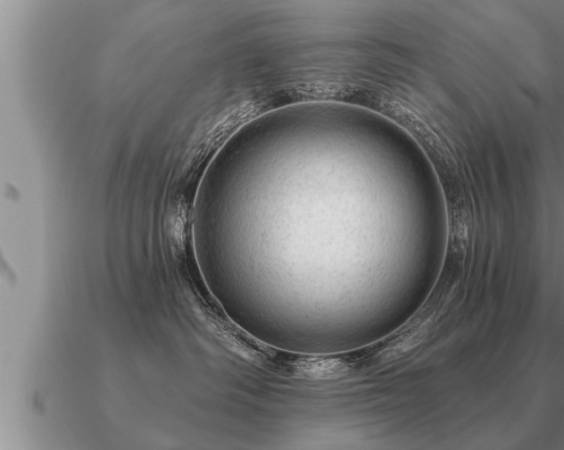 X0000091090334200708061643