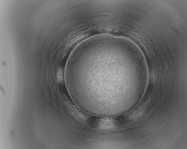 X0000091090335200708061643