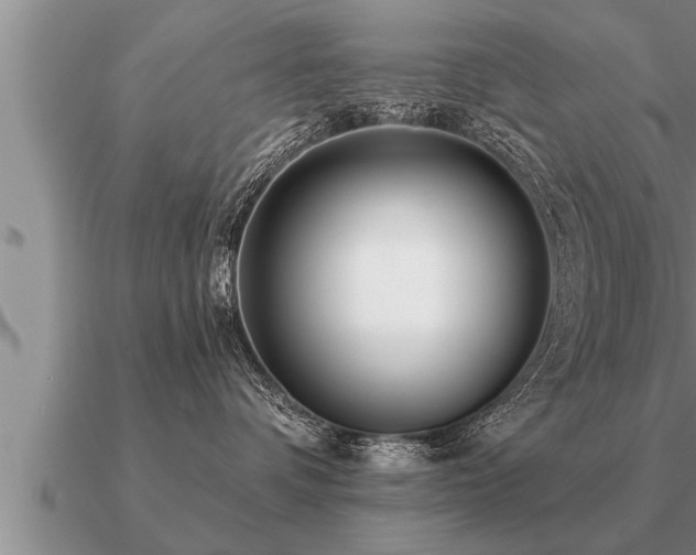 X0000091090336200708061643