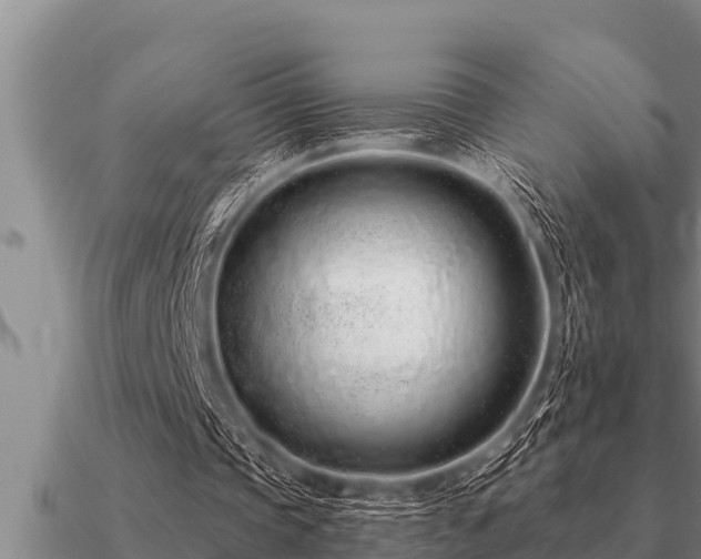 X0000091090337200708061642