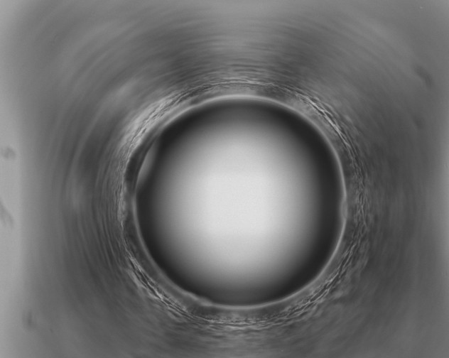 X0000091090338200708061642