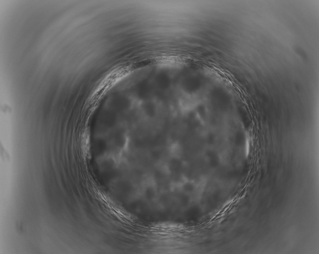 X0000091090339200708061642