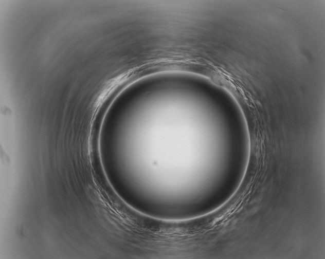 X0000091090340200708061642