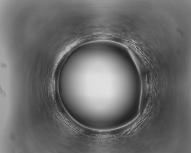 X0000091090342200708061642