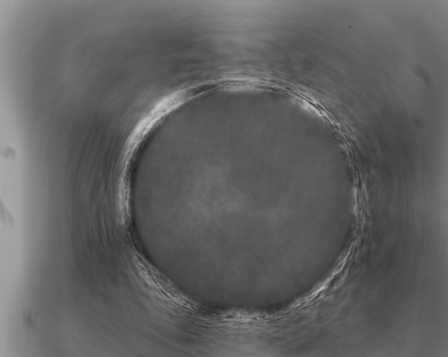 X0000091090343200708061642