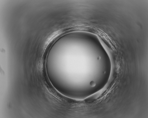 X0000091090344200708061642