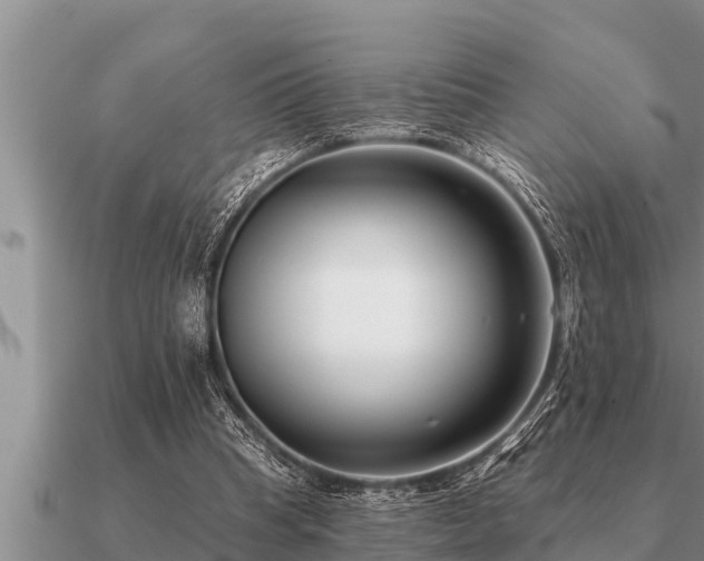 X0000091090345200708061642