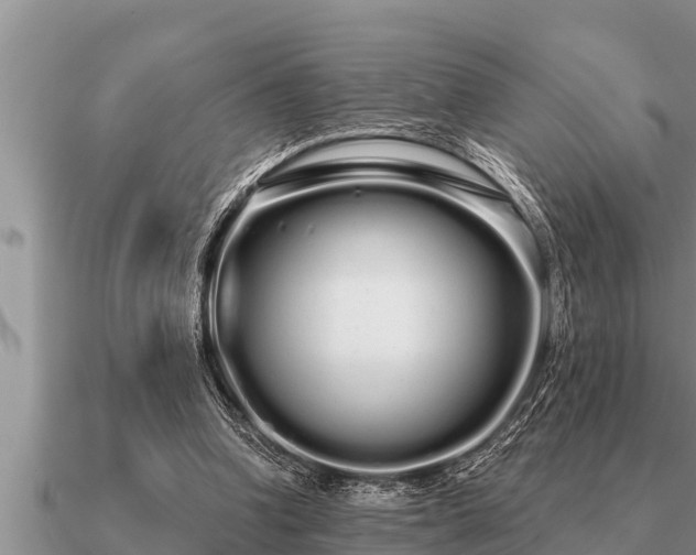 X0000091090346200708061642