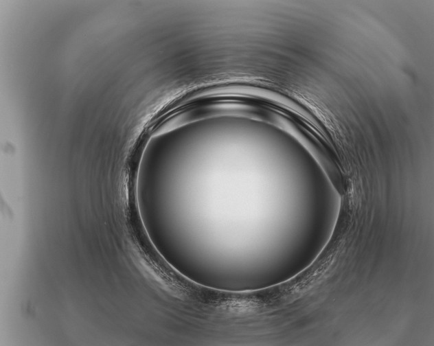 X0000091090350200708061642
