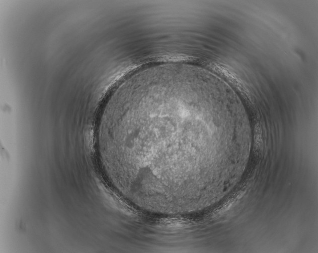 X0000091090351200708061642