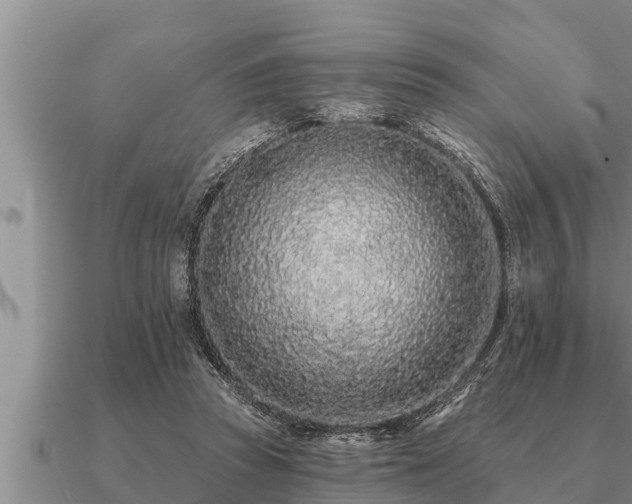 X0000091090353200708061642