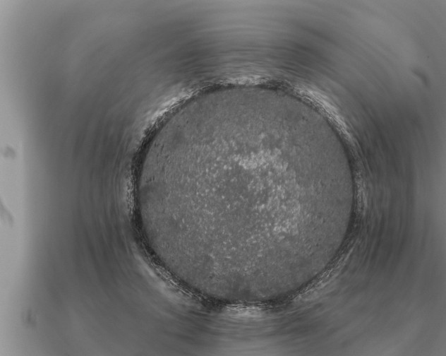 X0000091090354200708061642