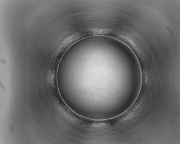 X0000091090357200708061642
