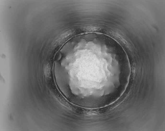 X0000091090359200708061642