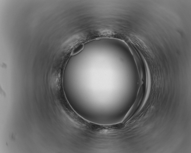 X0000091090364200708061642