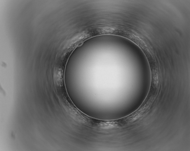 X0000091090378200708061642