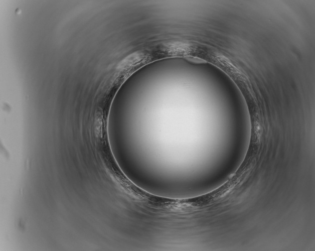 X0000091090379200708061642