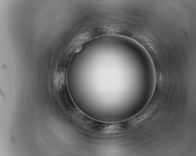 X0000091090382200708061643
