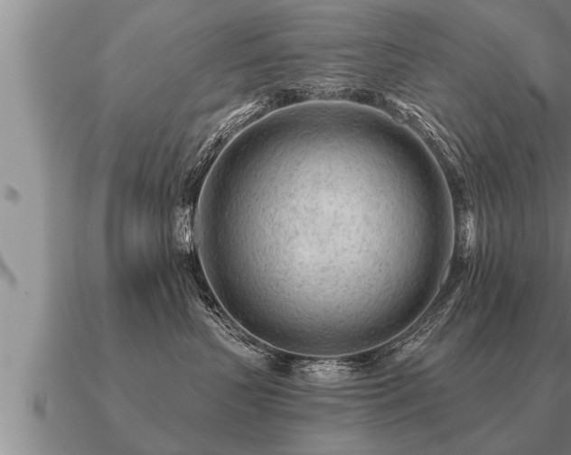 X0000091090383200708061643