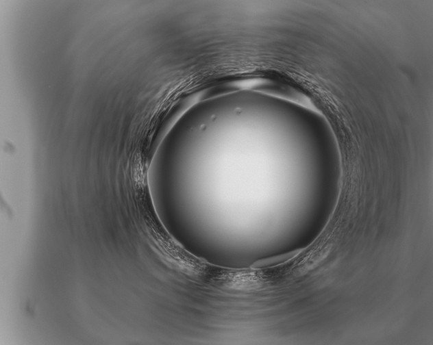 X0000091090384200708061643