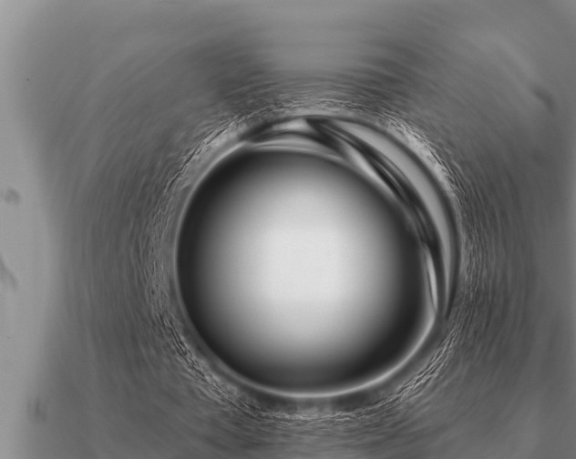 X0000091090385200708061642