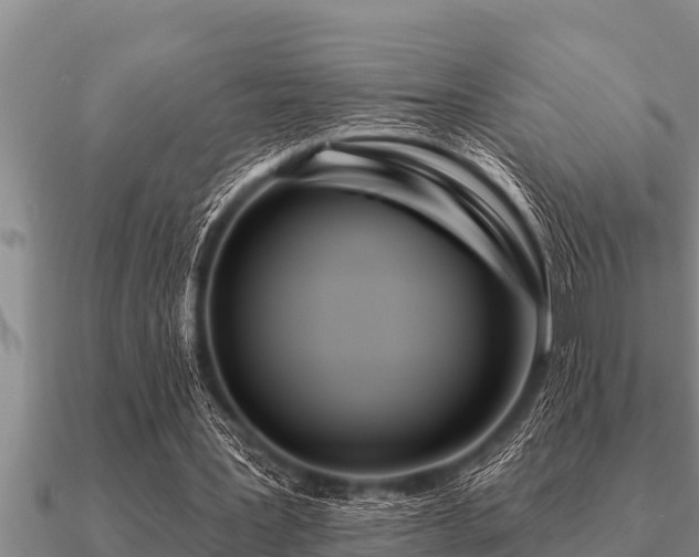X0000091090387200708061642