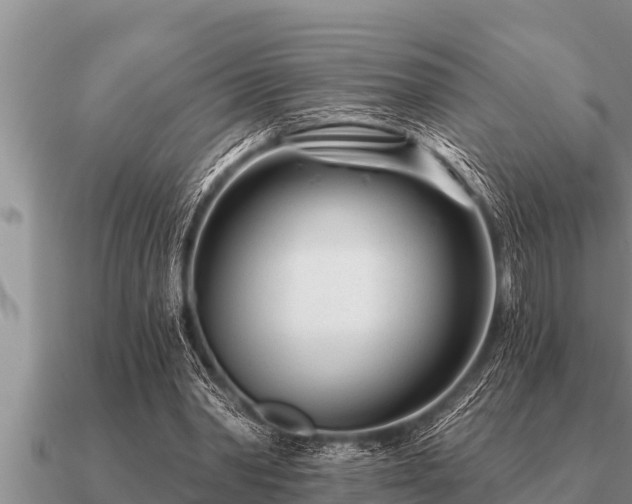 X0000091090390200708061642