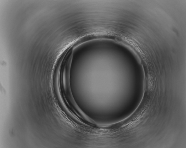 X0000091090391200708061642